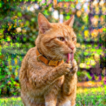Home gemini generated image f6vmrmf6vmrmf6vm
